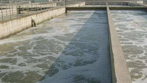 曝气池常见的四种浮渣分析