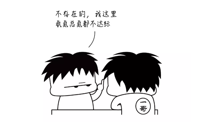 有必要把总氮加入出水指标里吗？