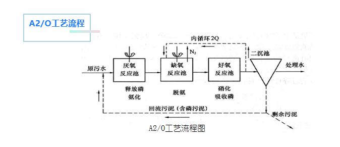 别家"污水厂脱氮除磷"是怎么做到的！