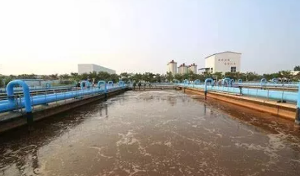 污水处理中的微生物的分类及代谢