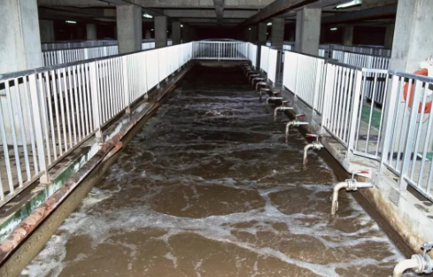 厌氧氨氧化污水处理工艺及应用探究