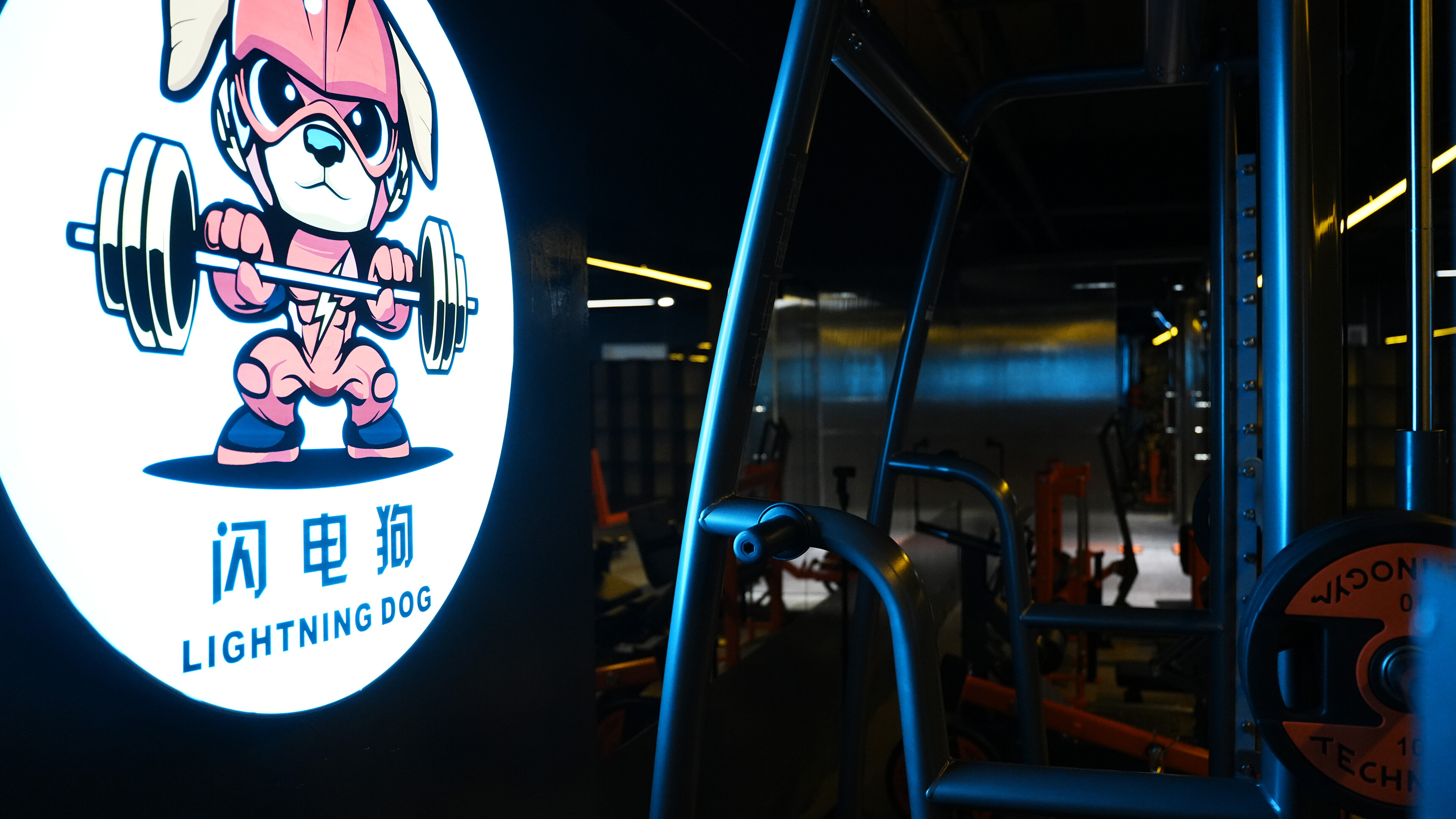 闪电狗健身品牌 Logo