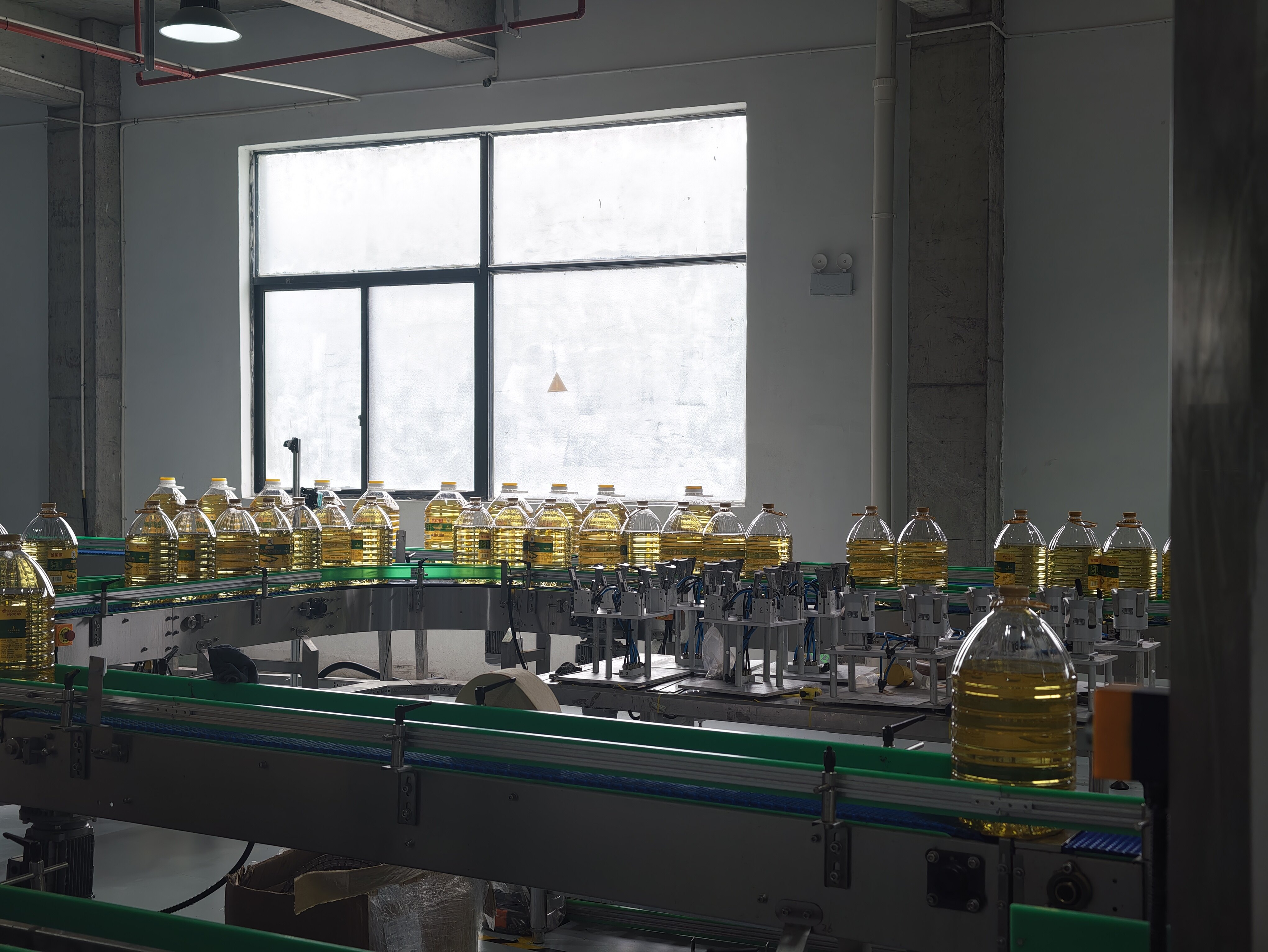 Freight Rate Fluctuations: Navigating Ocean Logistics for Bulk Edible Oil Export