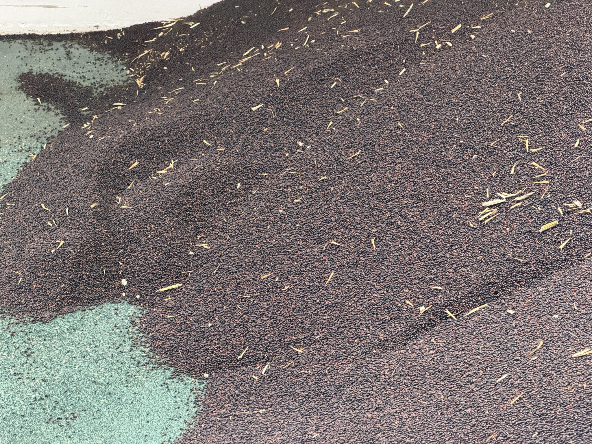 Oil Oxidation: Causes, Signs, and Prevention