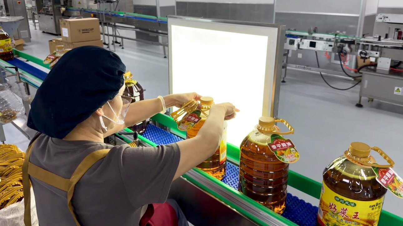 Soybean Oil vs Canola Oil: Side-by-Side Comparison