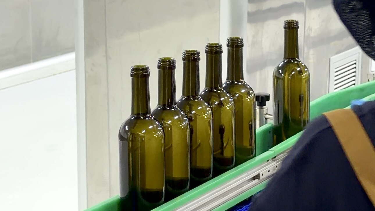Essential Guide to Cooking Oil Quality Specs