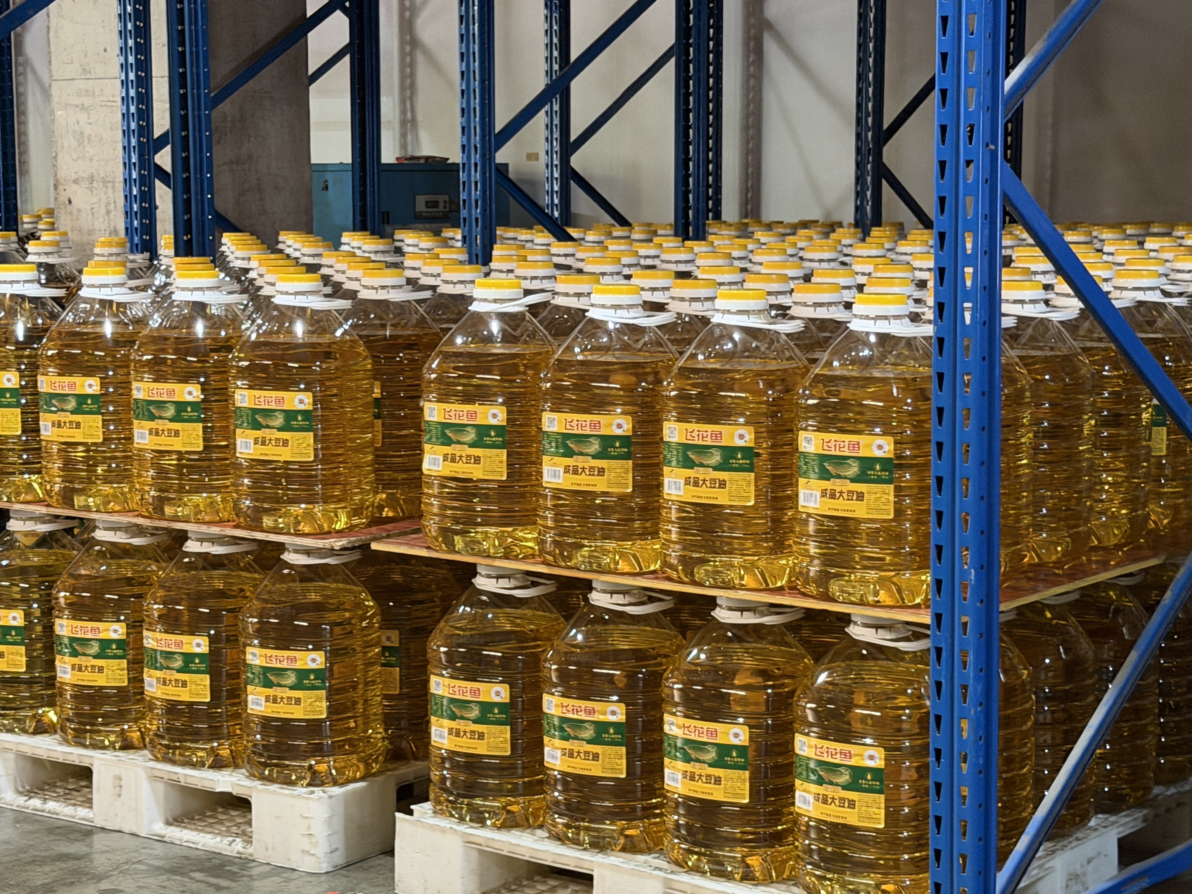 Why Non-GMO Rapeseed Oil is Gaining Massive Traction in Western Supermarkets