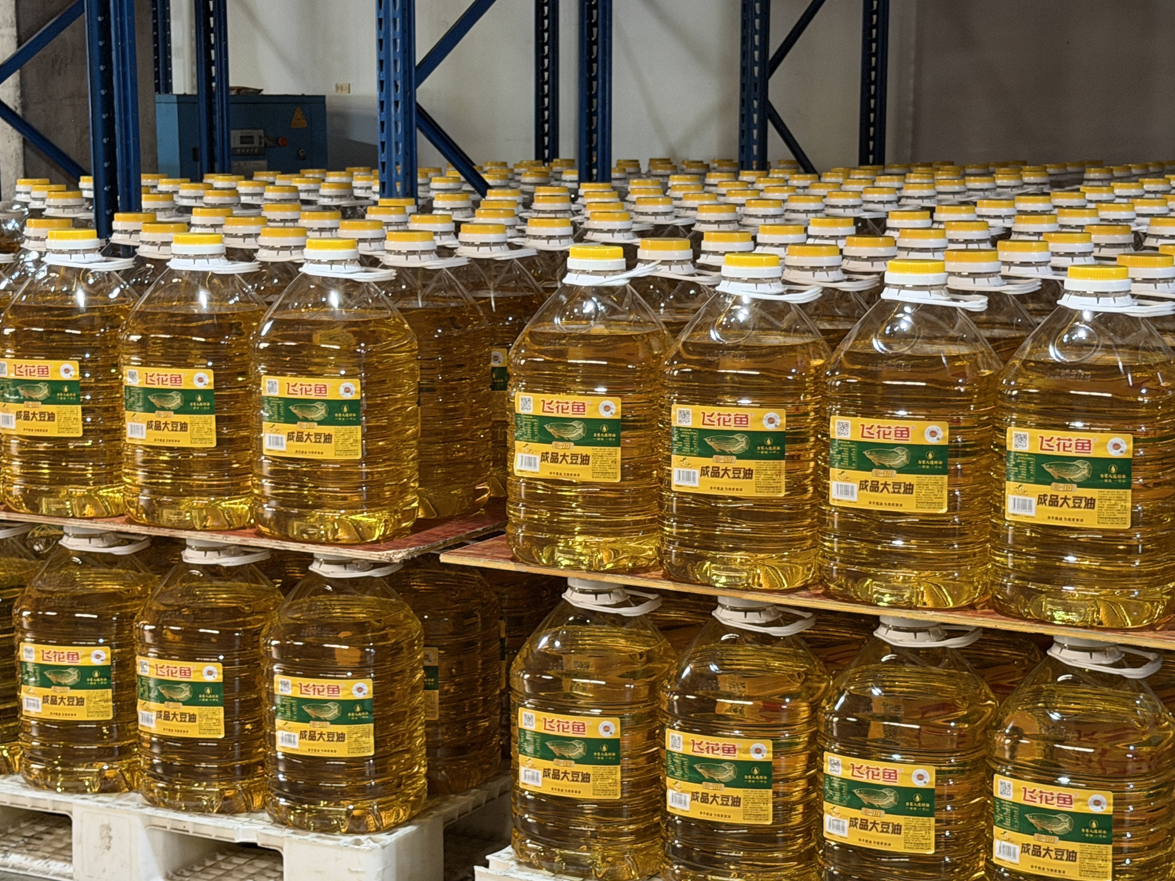 Understanding Smoke Points of Cooking Oils