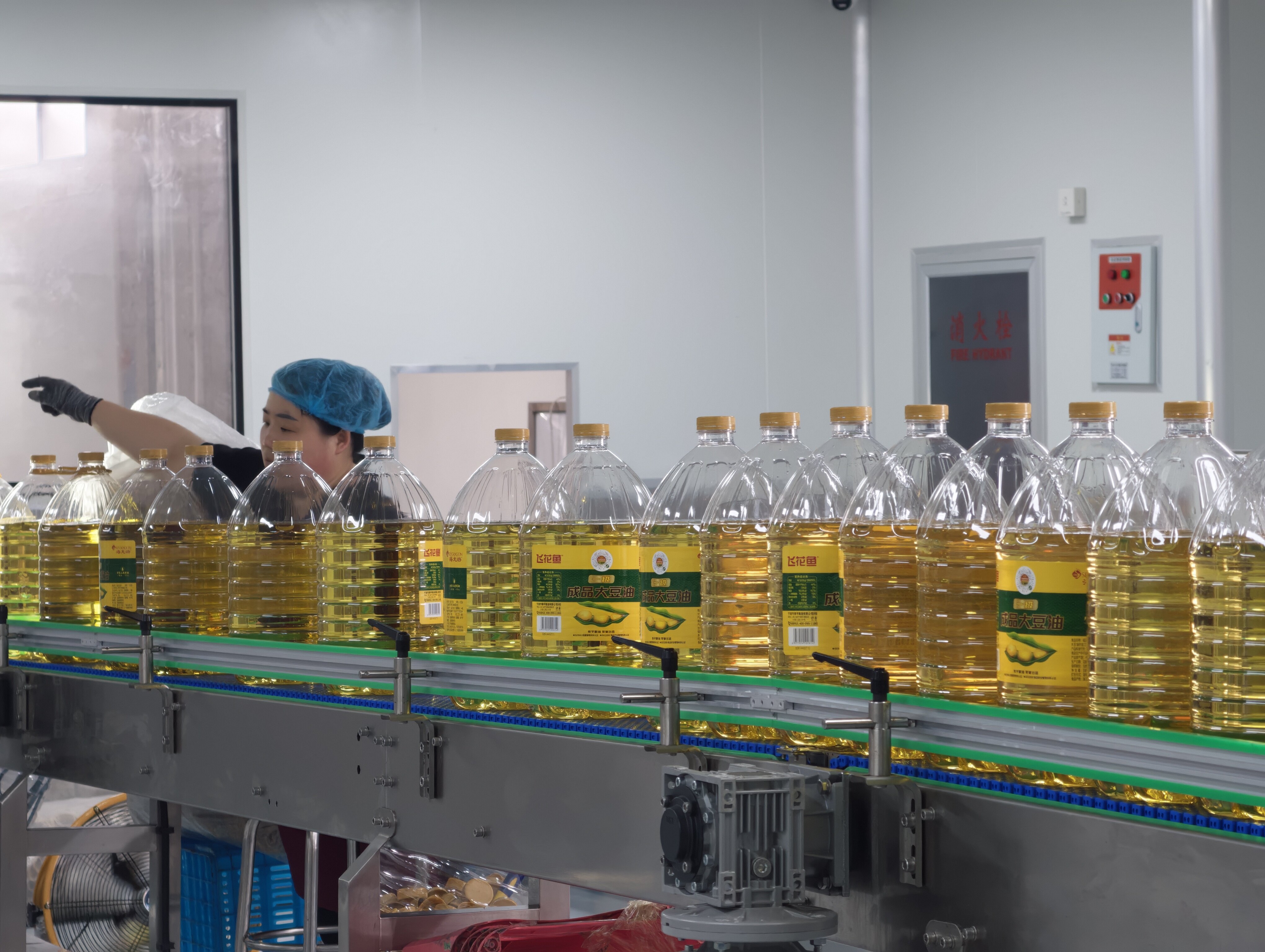 Analysing the Price-to-Performance Ratio of Sunflower Oil vs. Other Vegetable Oils