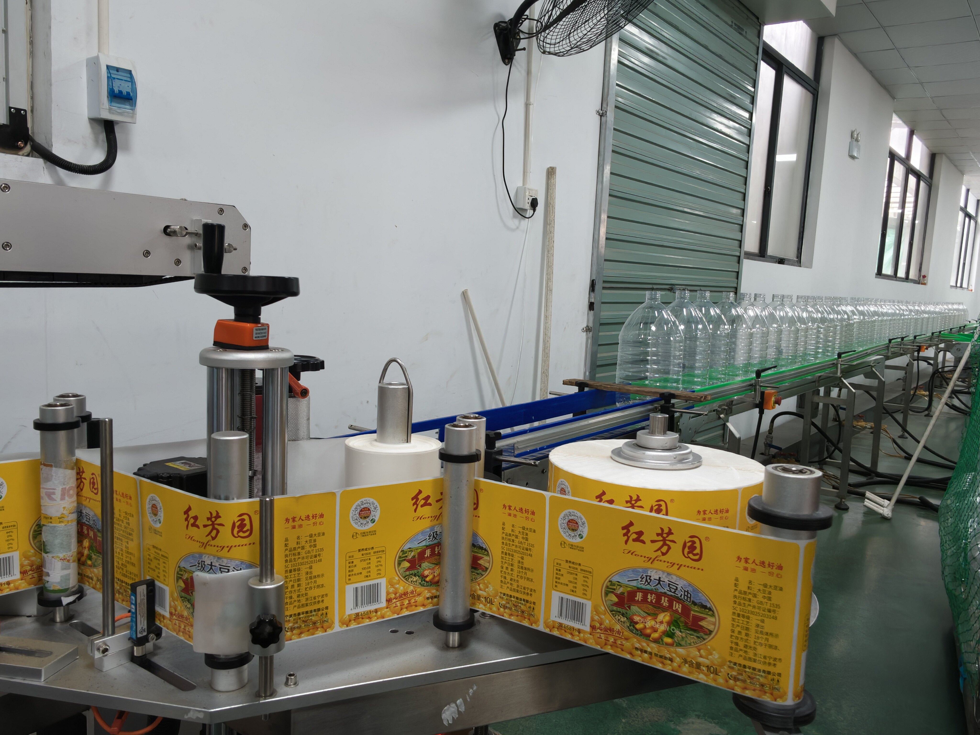 Polyunsaturated vs Monounsaturated Fats in Oil