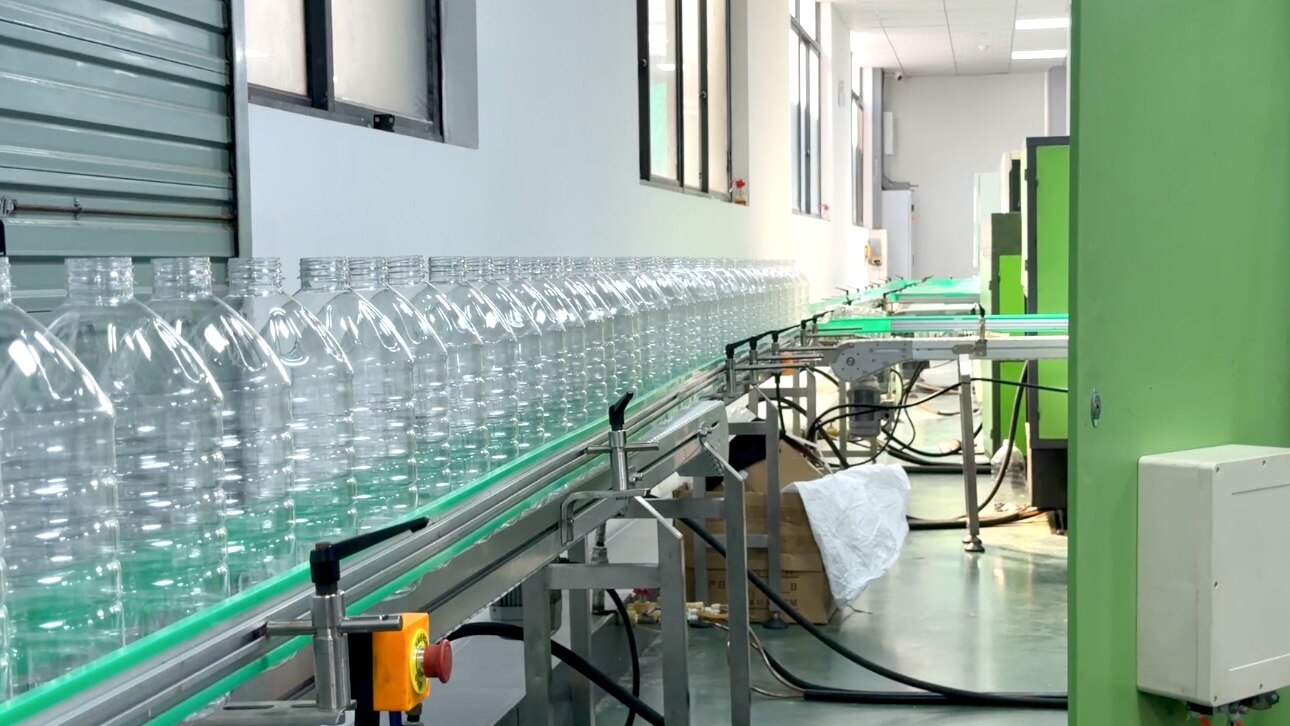What Oil Should First-Time Importers Buy