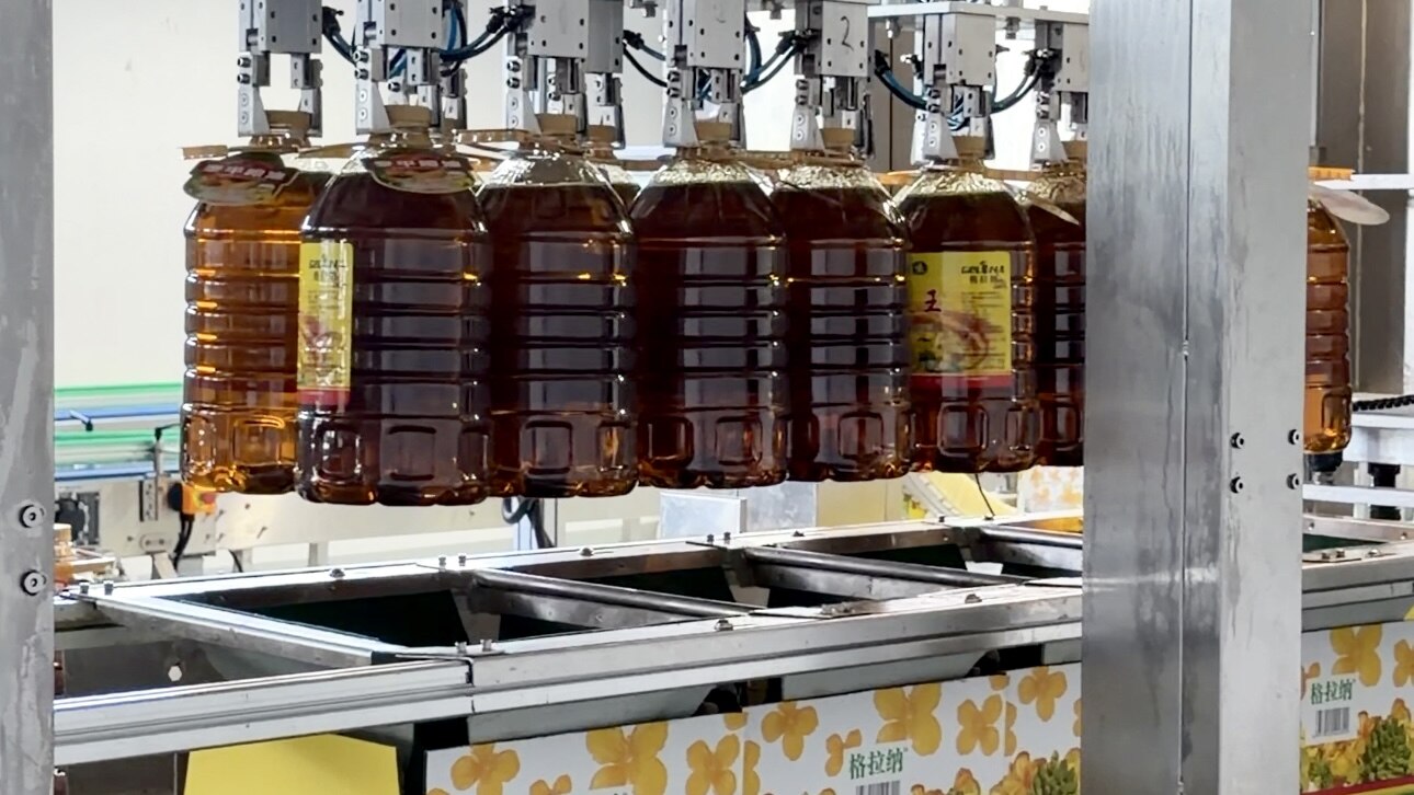 Oils for Salad Dressings and Cold Use