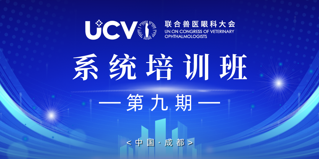 系统培训班(第9期)