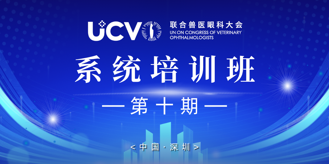 系统班实战(第10期)