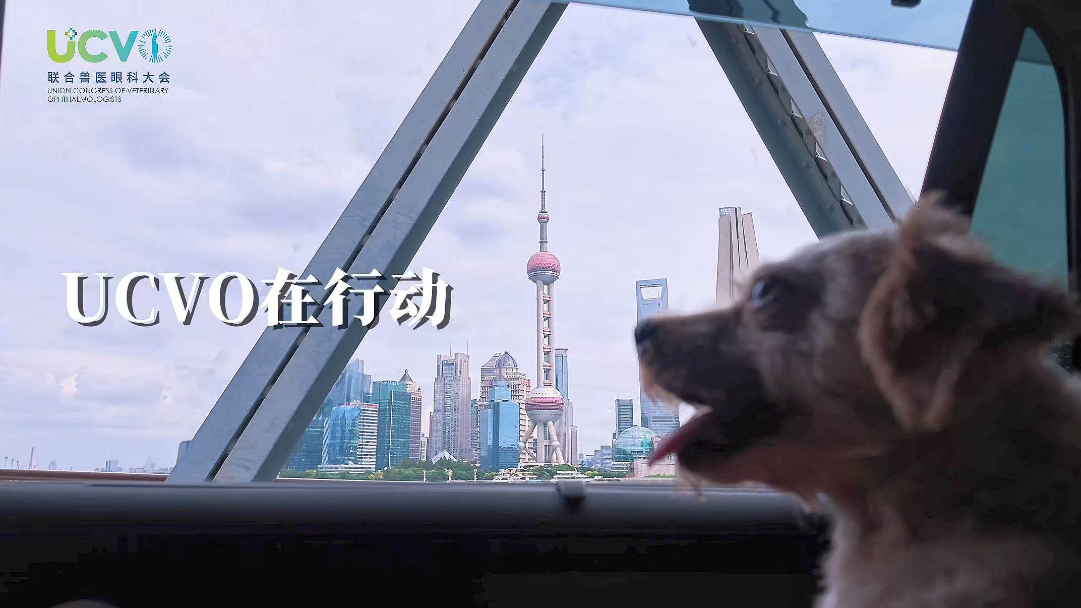 《向往的光明》公益救助活动正式启动