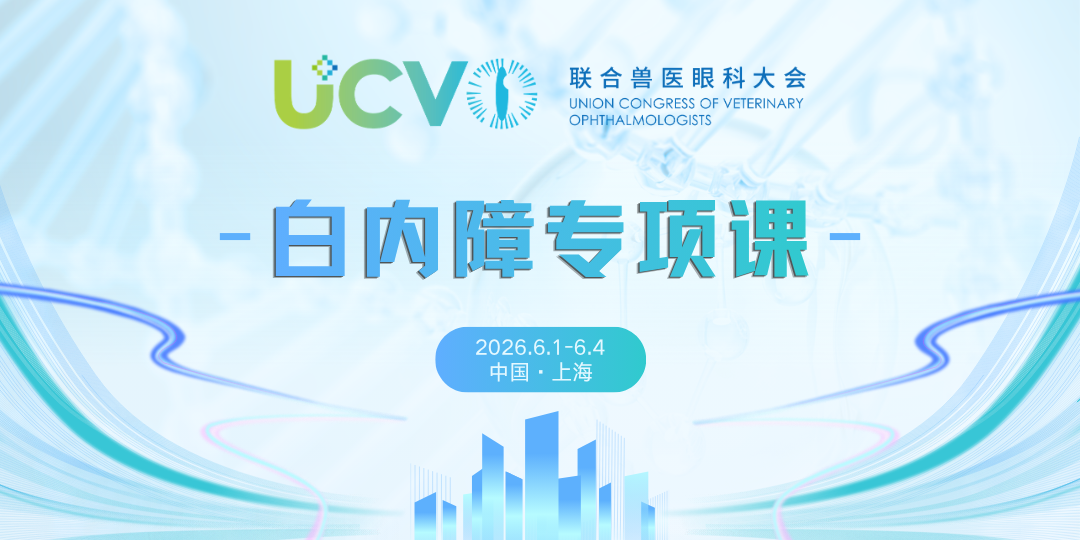 白内障专项课