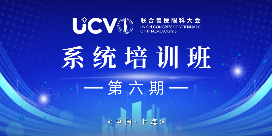 系统实战班(第6期)