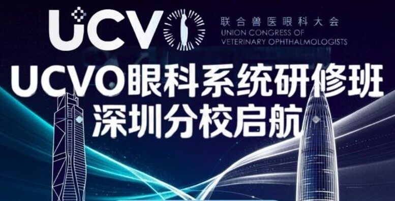 UCVO系统培训班深圳分校启航