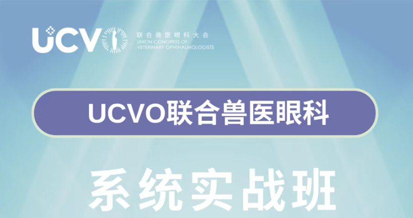 系统实战班（第7期）