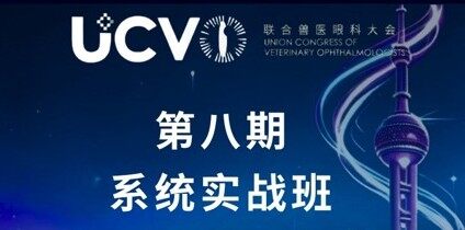 系统实战班（第8期）