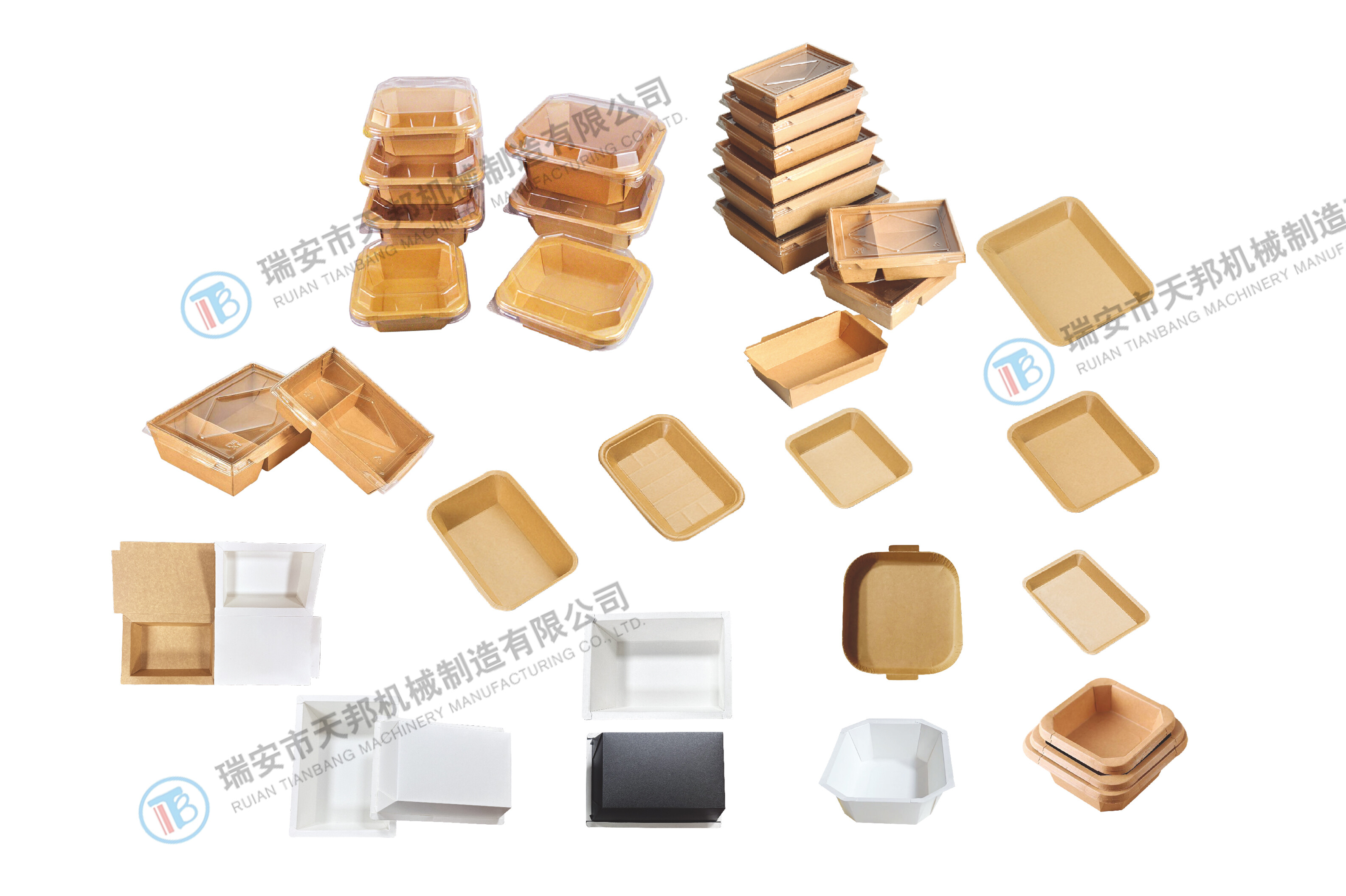 Compartmentalized lunch box
