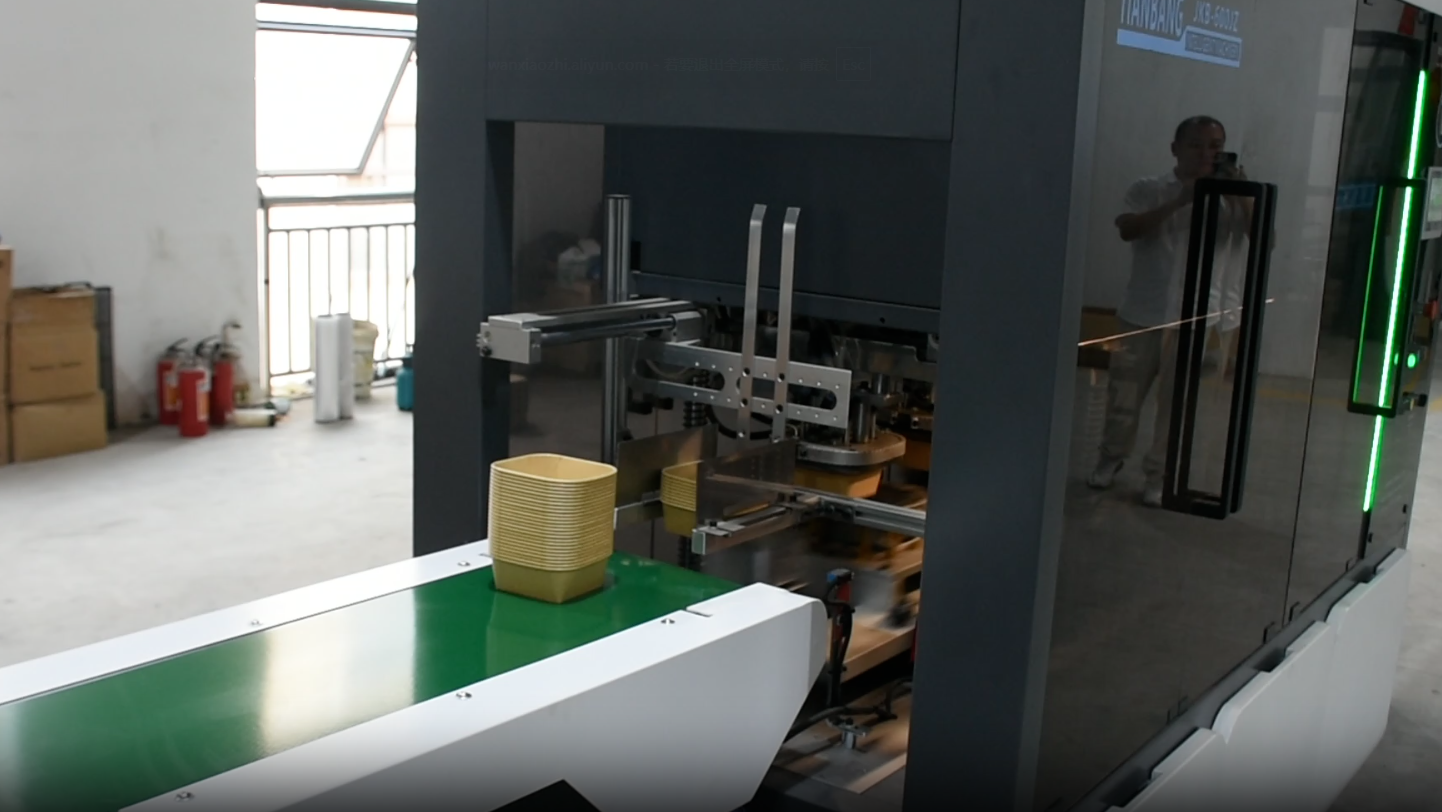 Paper Cup Forming Production Line Process