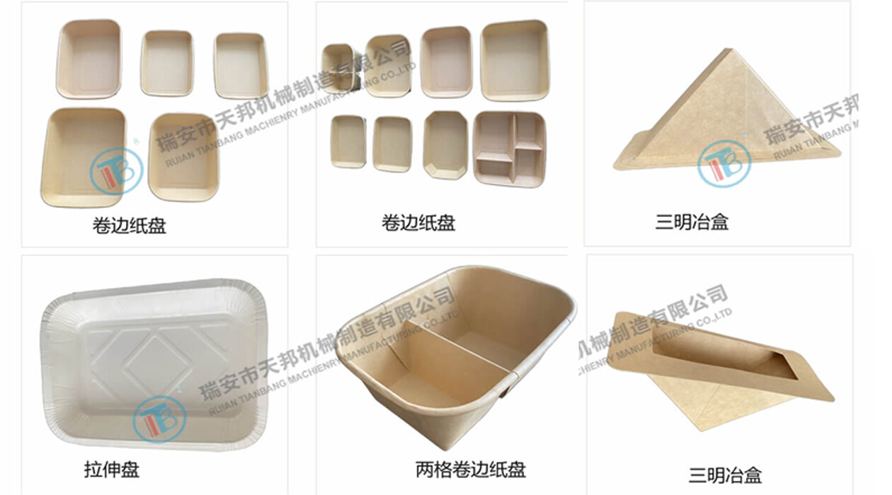 Round Paper Plates