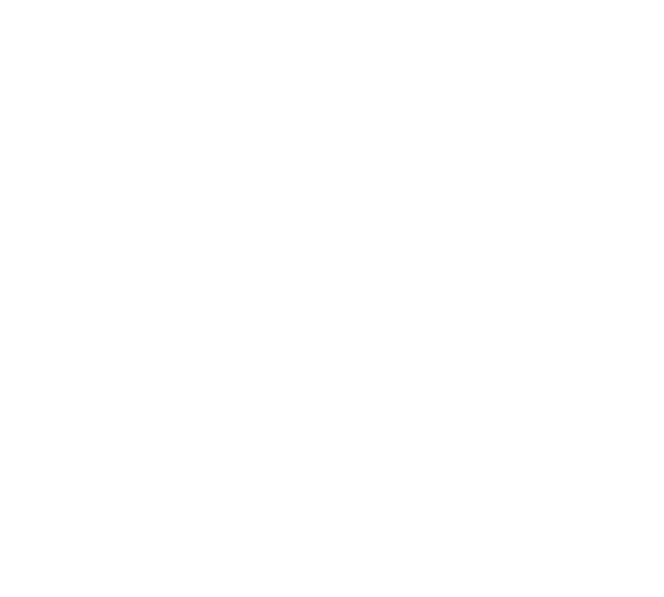 九域纪元 Logo