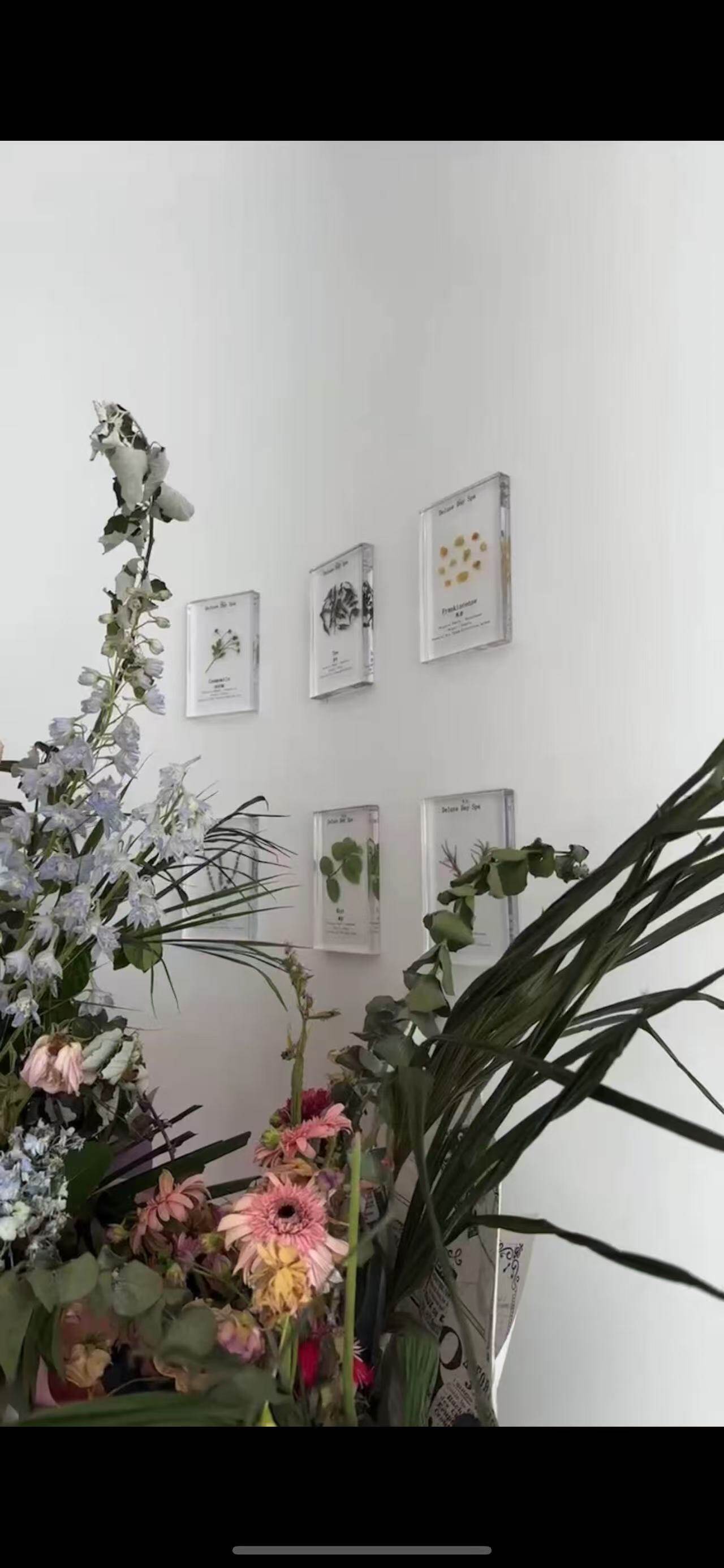 Back Treatments at DELUXE SPA & BEAUTY Yagoona