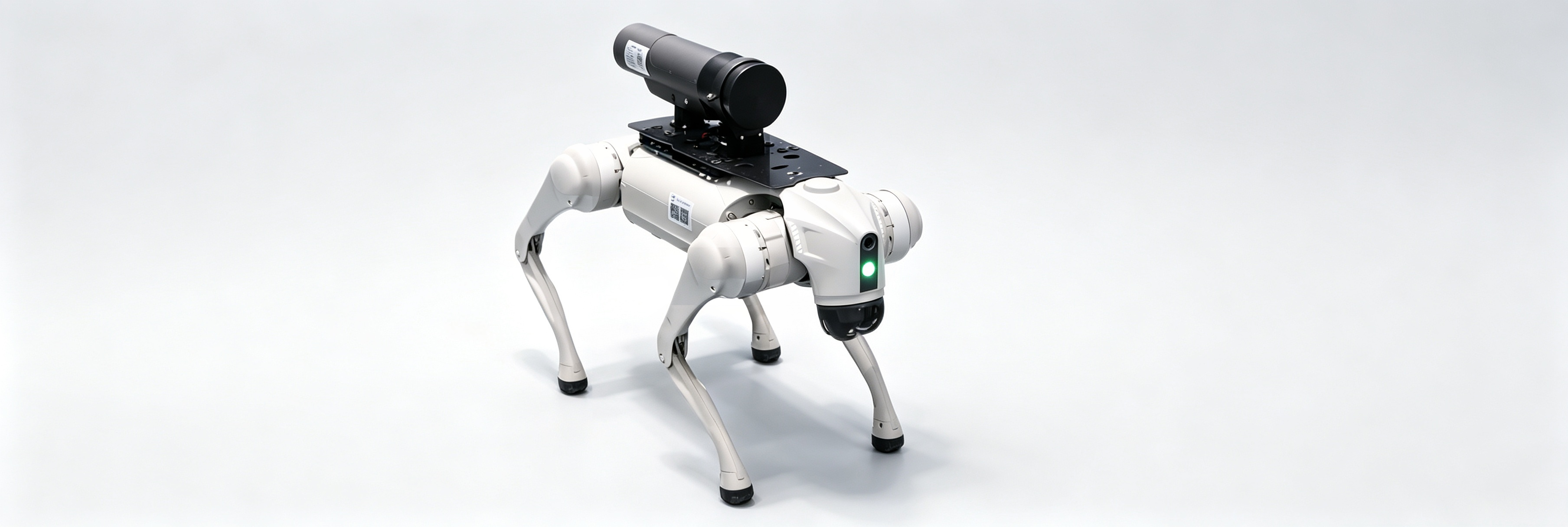 Radiation monitoring patrol system