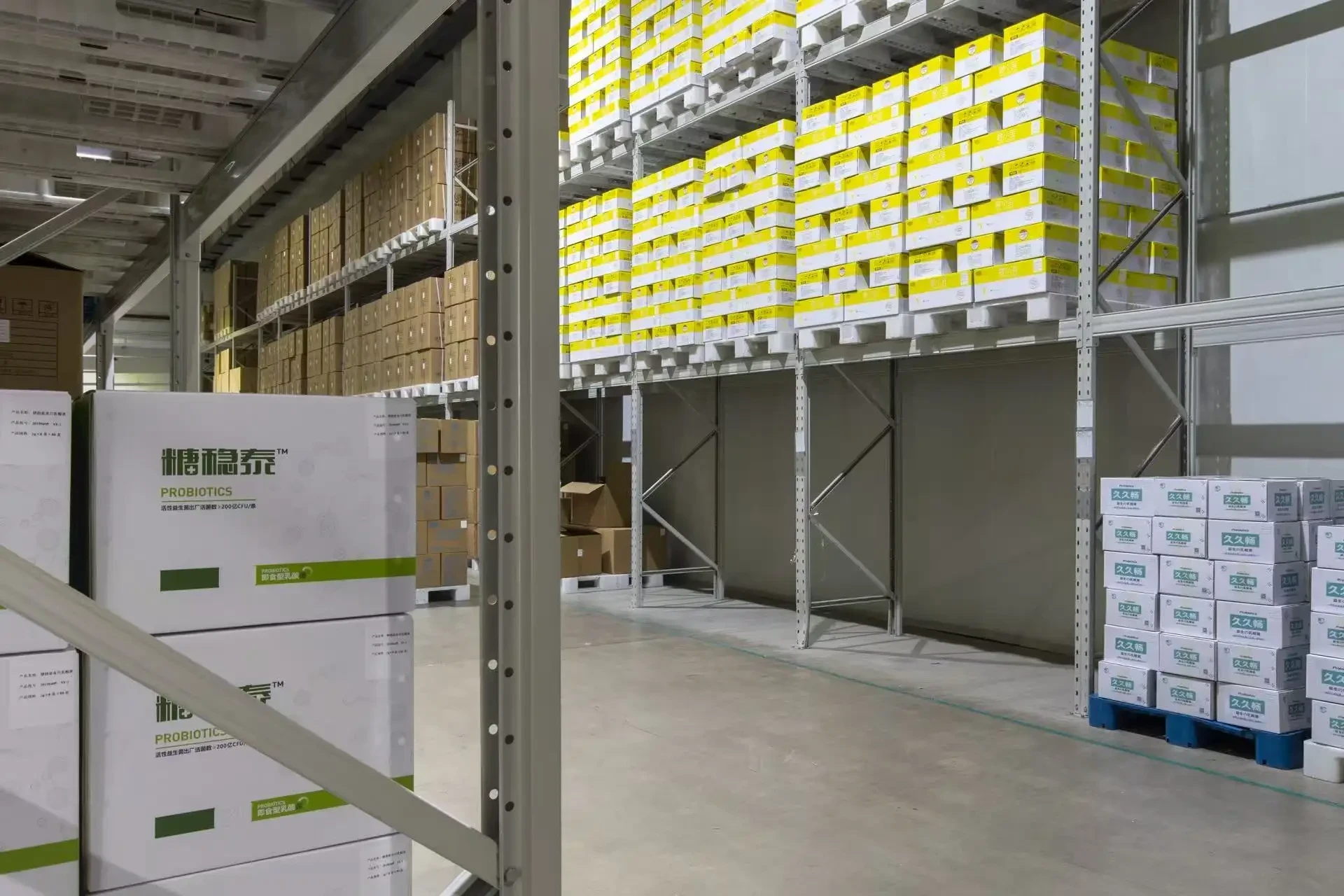 Finished Goods Warehouse at SynthoHerba manufacturing base