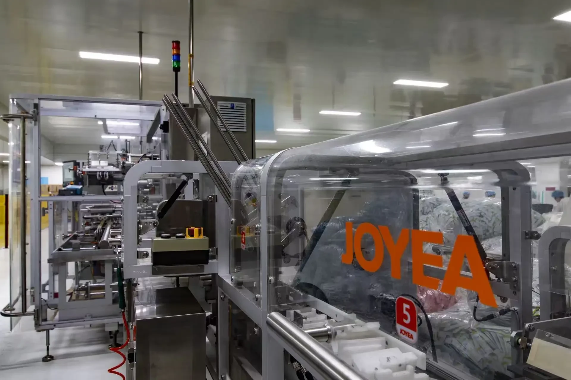 Packing Line at SynthoHerba manufacturing base