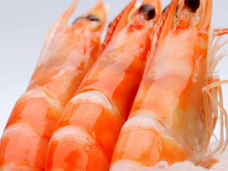 Frozen White Shrimp