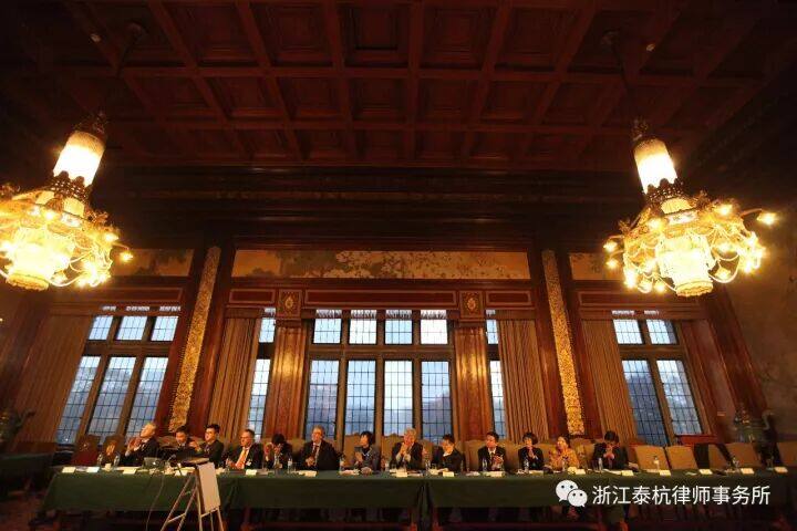 Dr. Wang Zheng Speaks at the Peace Palace in The Hague on Behalf of Chinese Lawyers