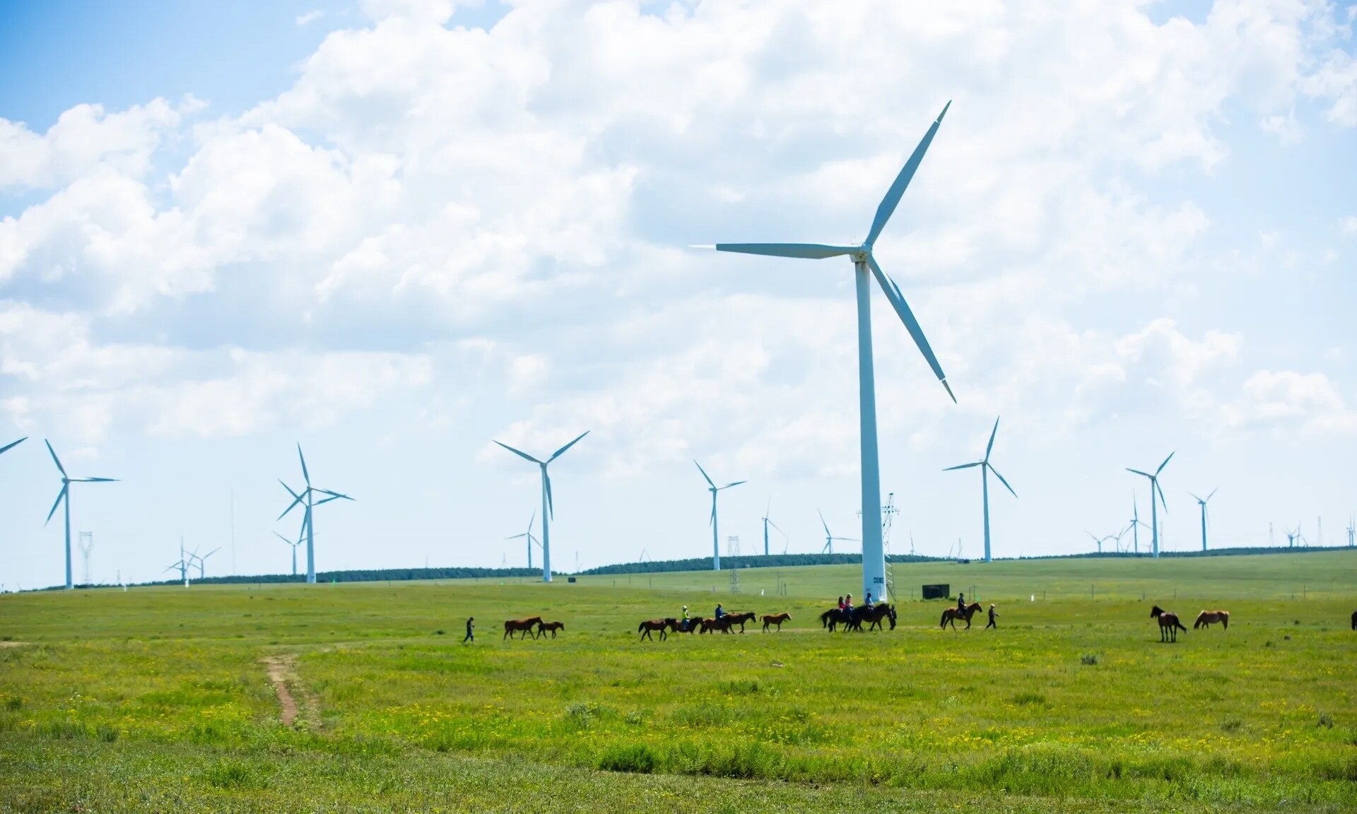 Applications in Wind and Hydro Power Industries
