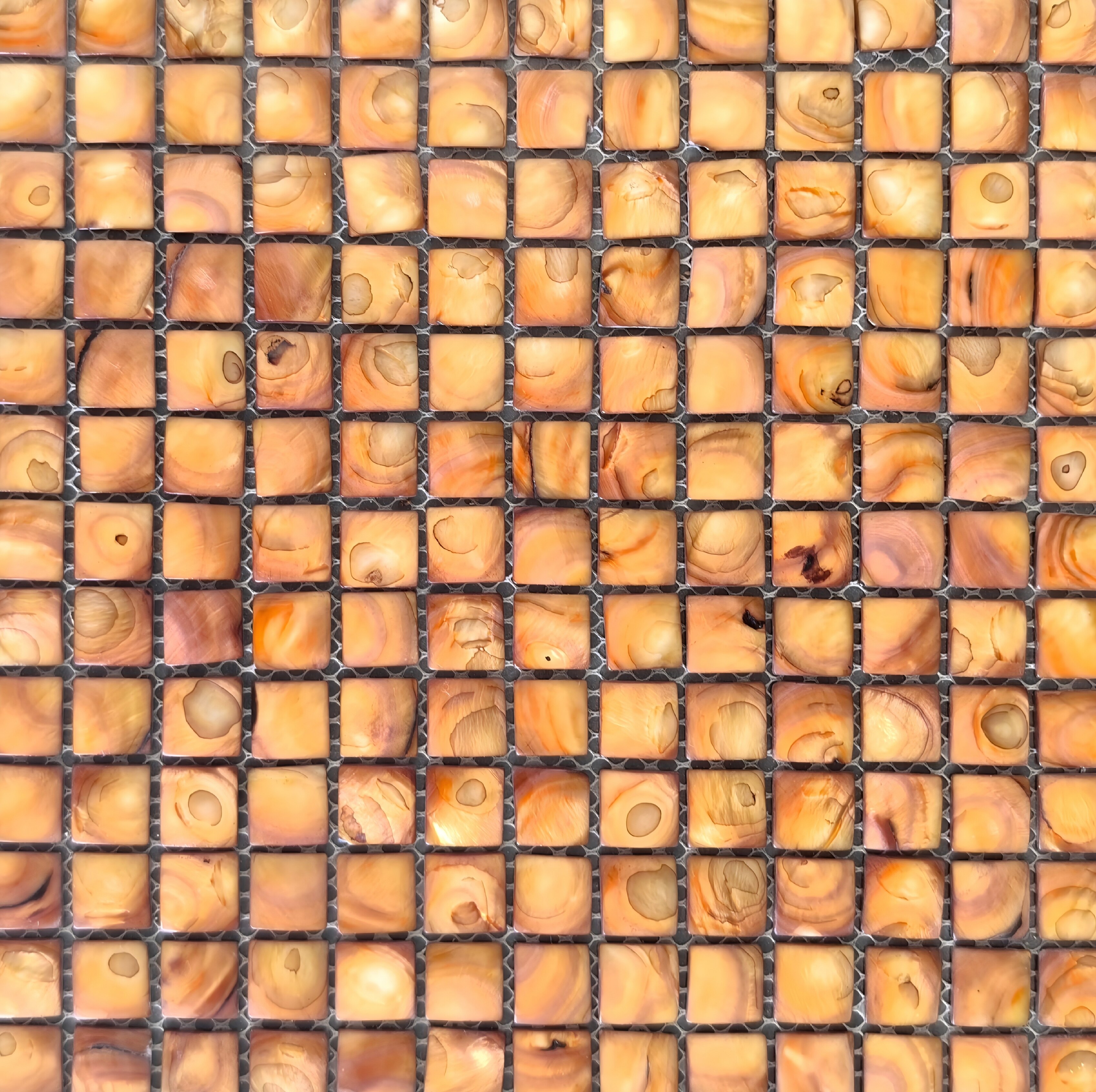 Gold Shell Mosaic Inlay Detail View 2