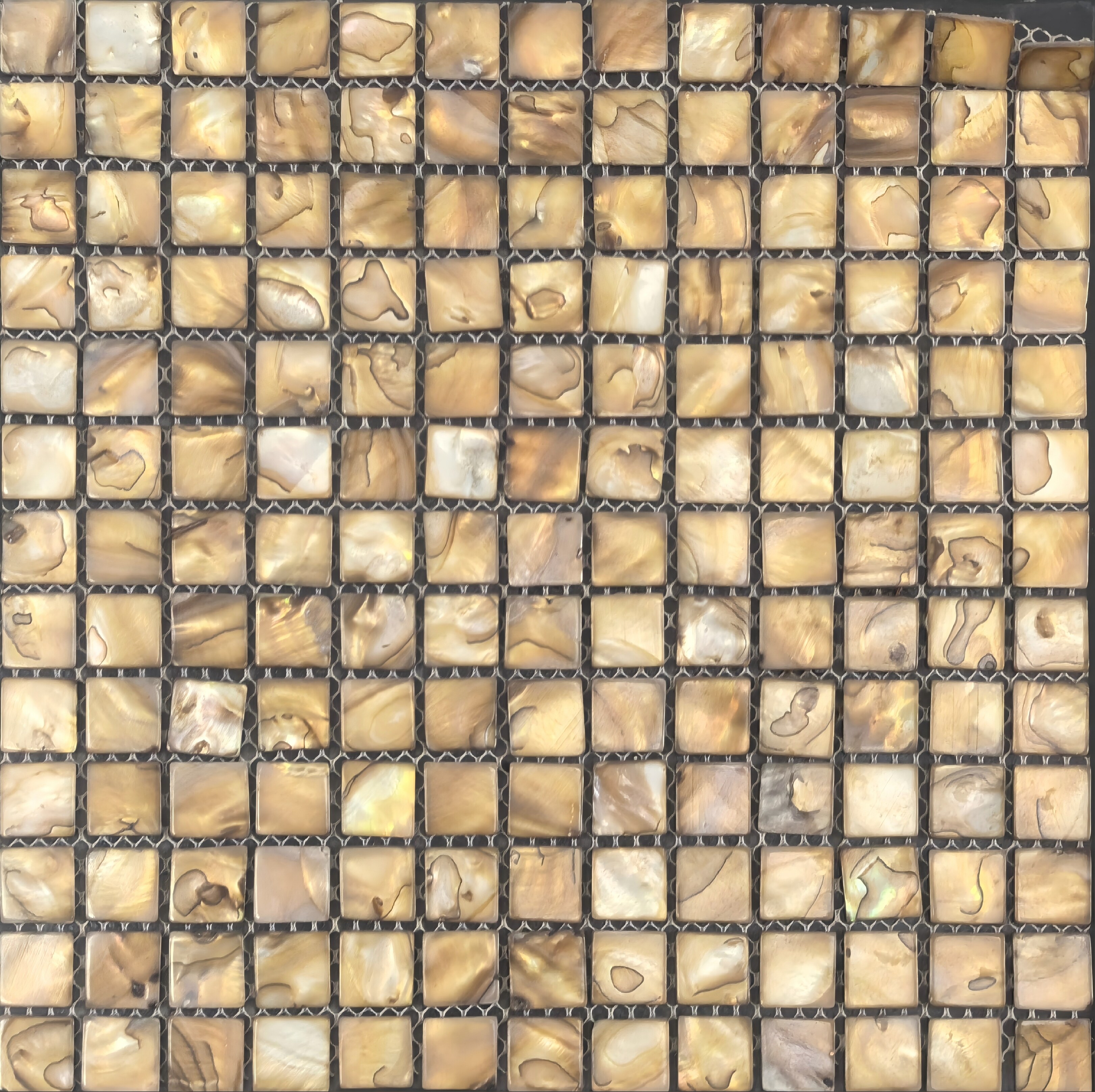 Gold Shell Mosaic Inlay Detail View 3