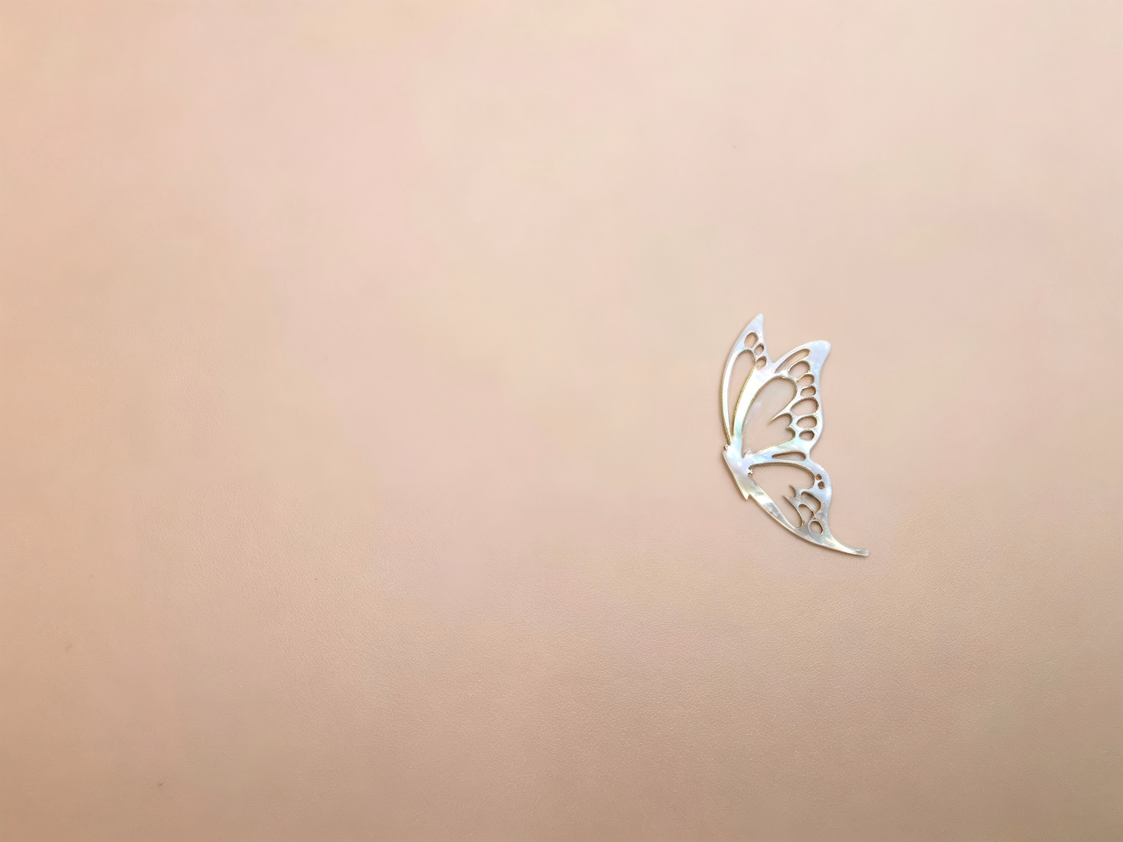 Fragmented Mother-of-Pearl Inlay with Carved Shell Details 4