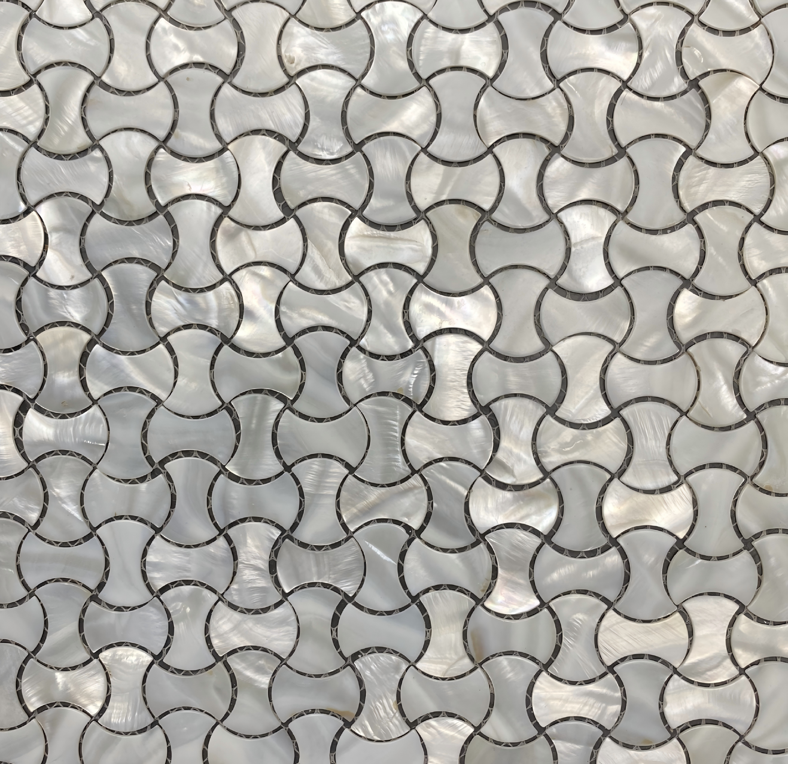 Bone Detail Image 7