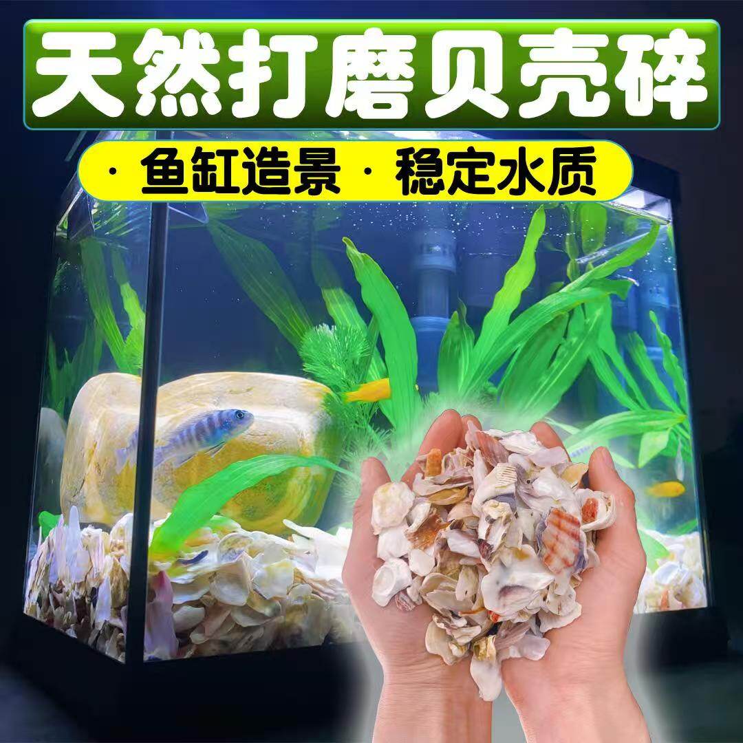 3-6mm Shell Granules with Beveled Edges and Polished Finish – Detail View 5