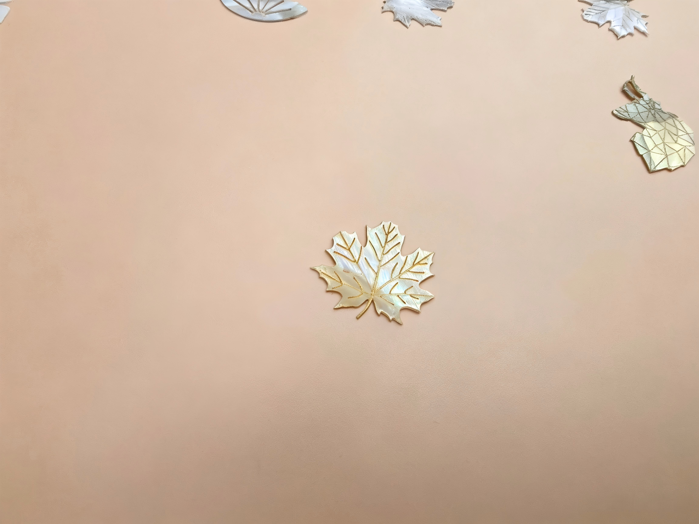 Fragmented Mother-of-Pearl Inlay with Carved Shell Details 2