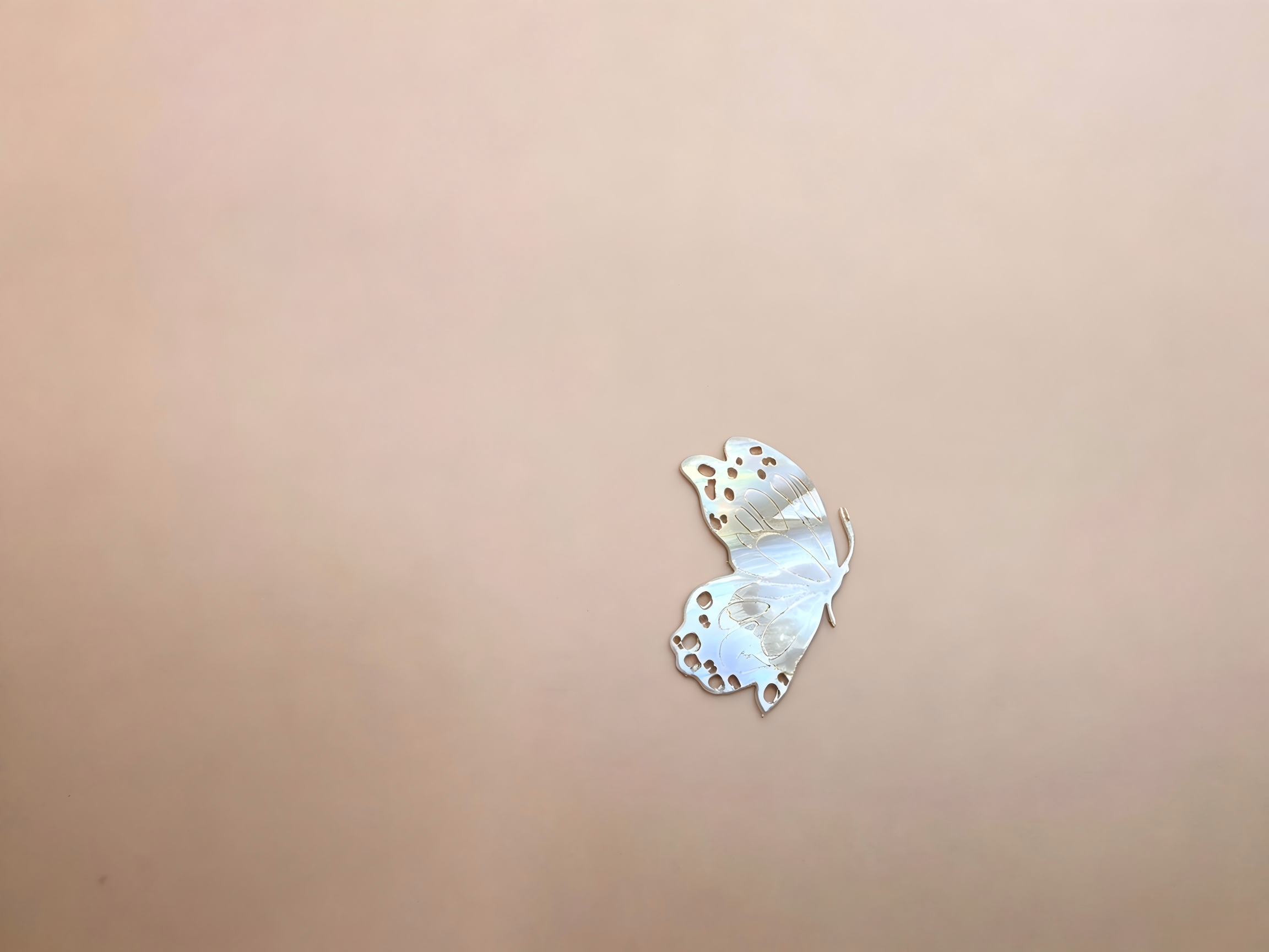 Fragmented Mother-of-Pearl Inlay with Carved Shell Details 3