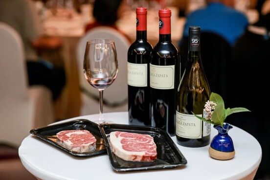 Elegant Pairing of Wine and Steak