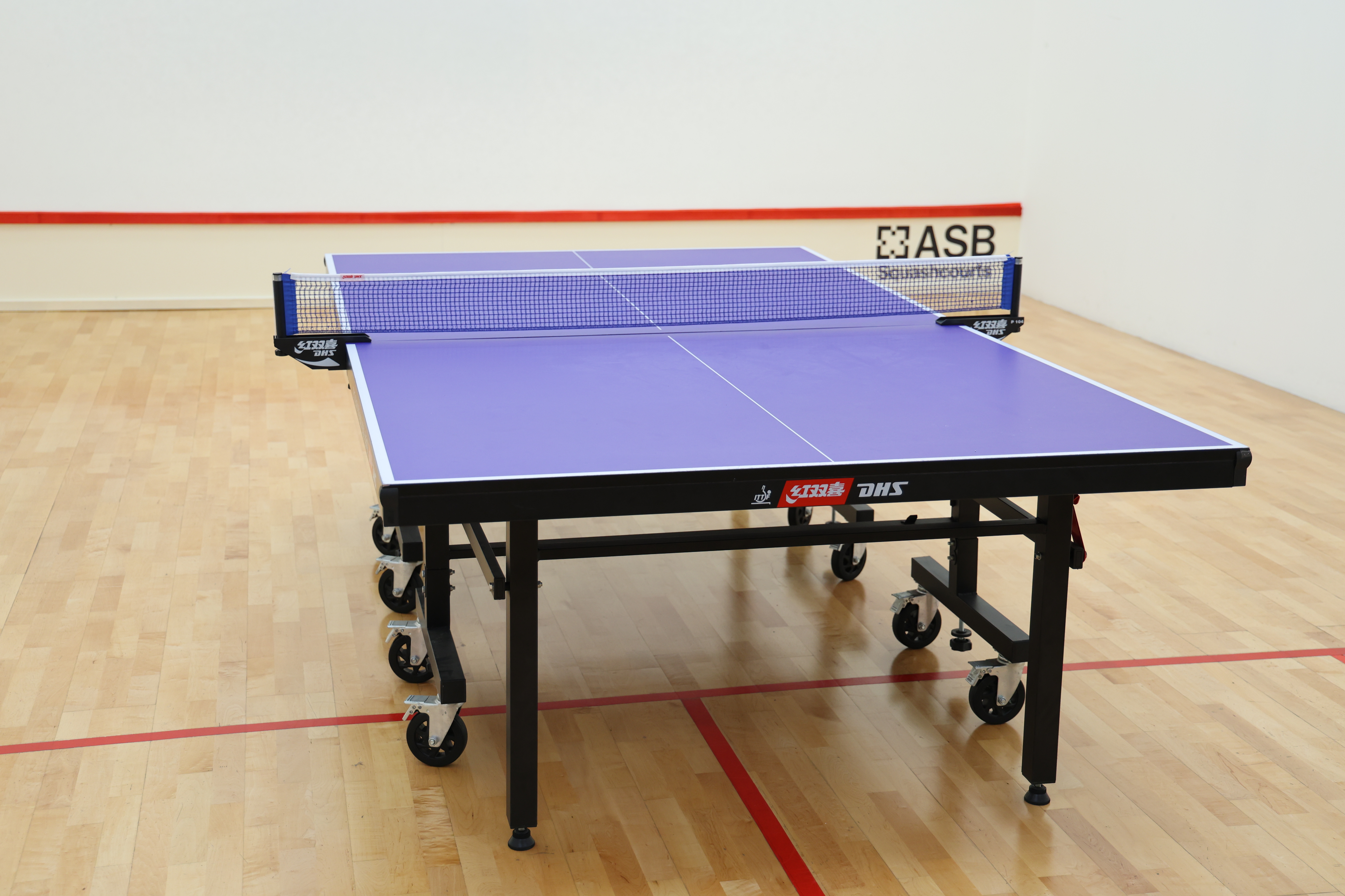Ping Pong Room