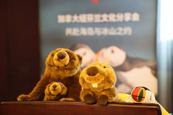 Plush Toy Display at Event