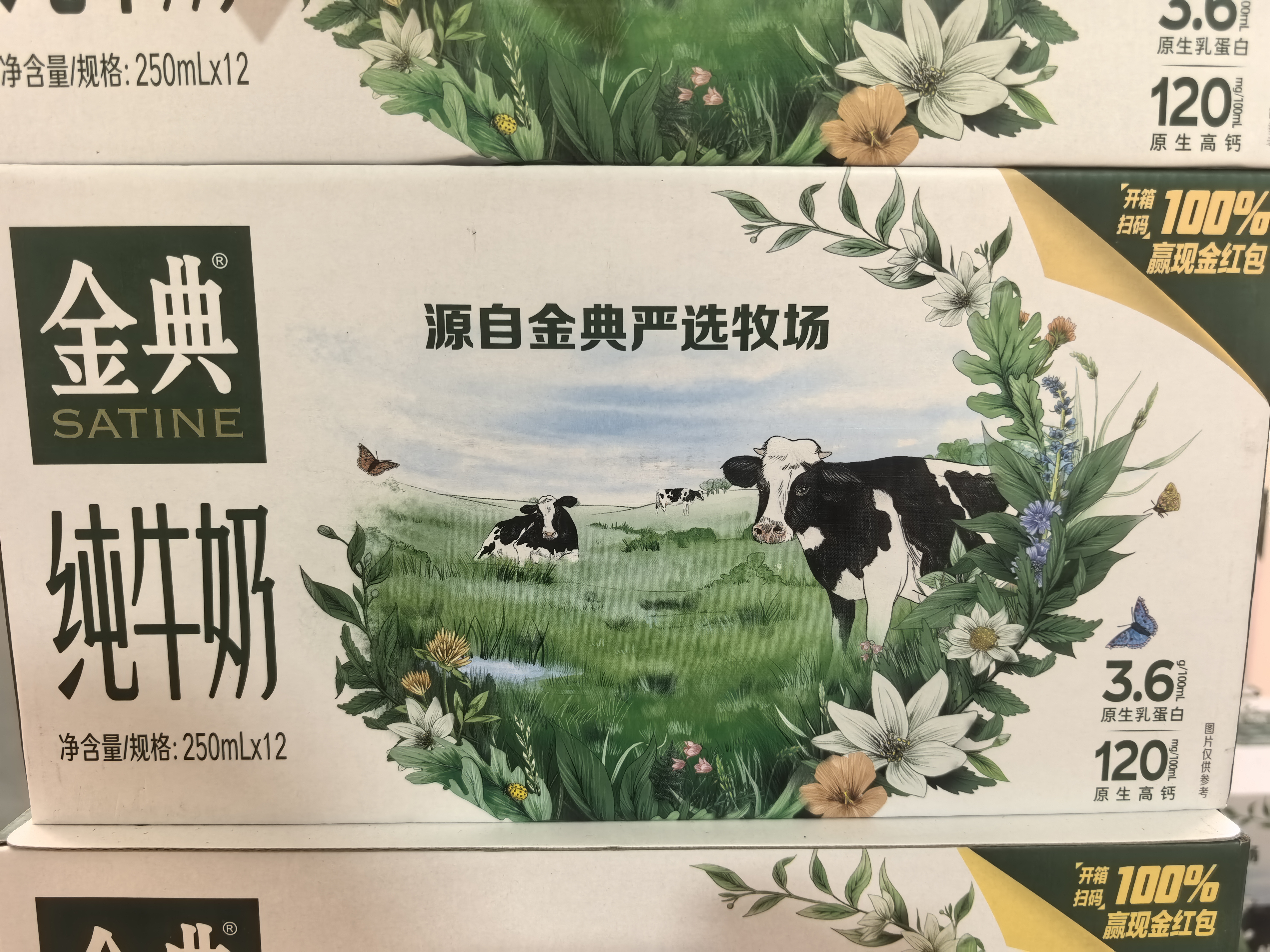 金典纯牛奶