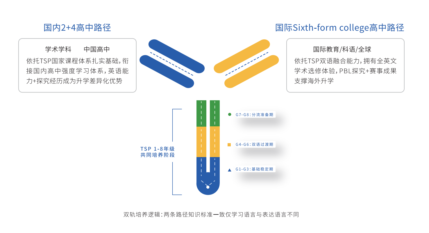 TSP双轨培养路径图:国内2+4高中路径与国际Sixth-form college高中路径