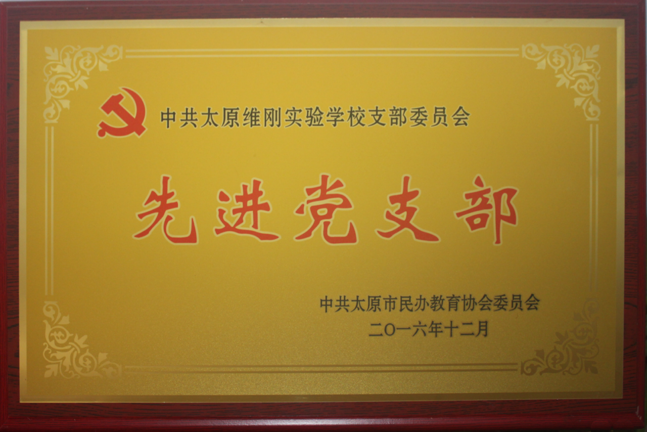 市级先进基层党组织