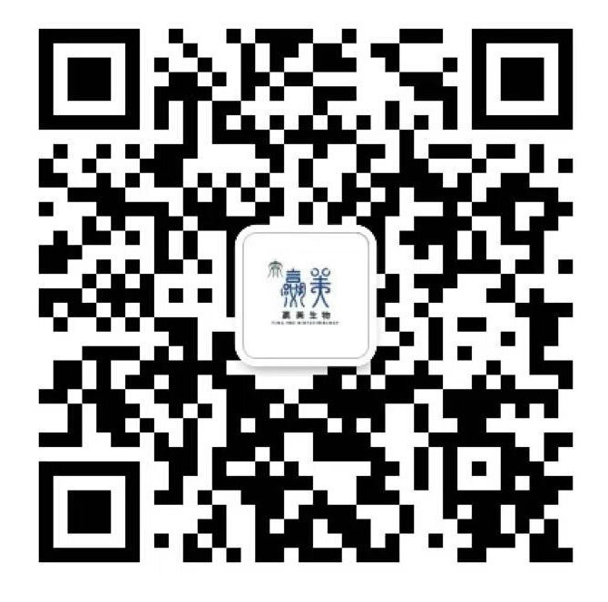 Official WeChat Account