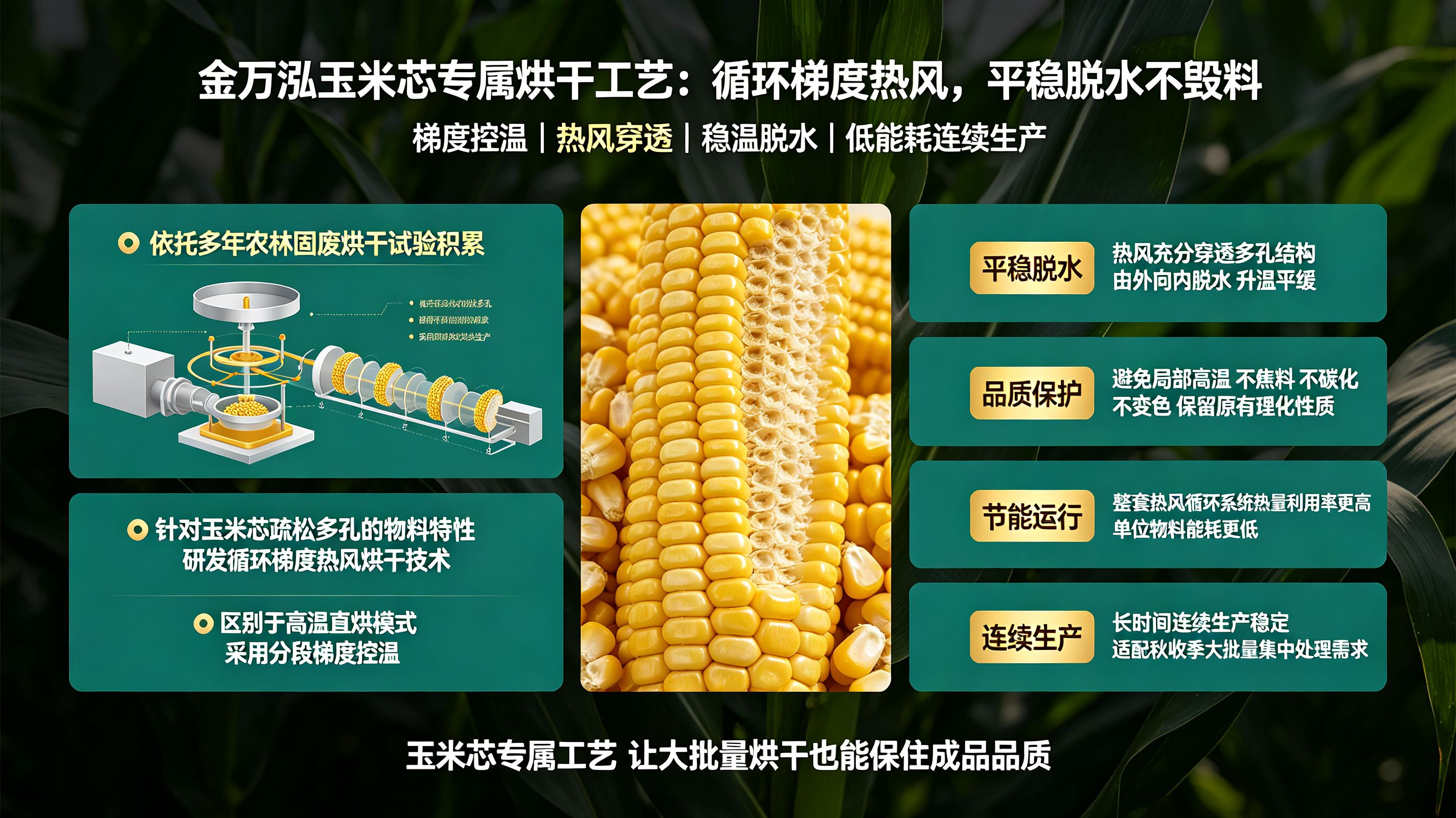 玉米芯含水高、易霉变、难存储?金万泓专用烘干机实现玉米芯高效资源化利用